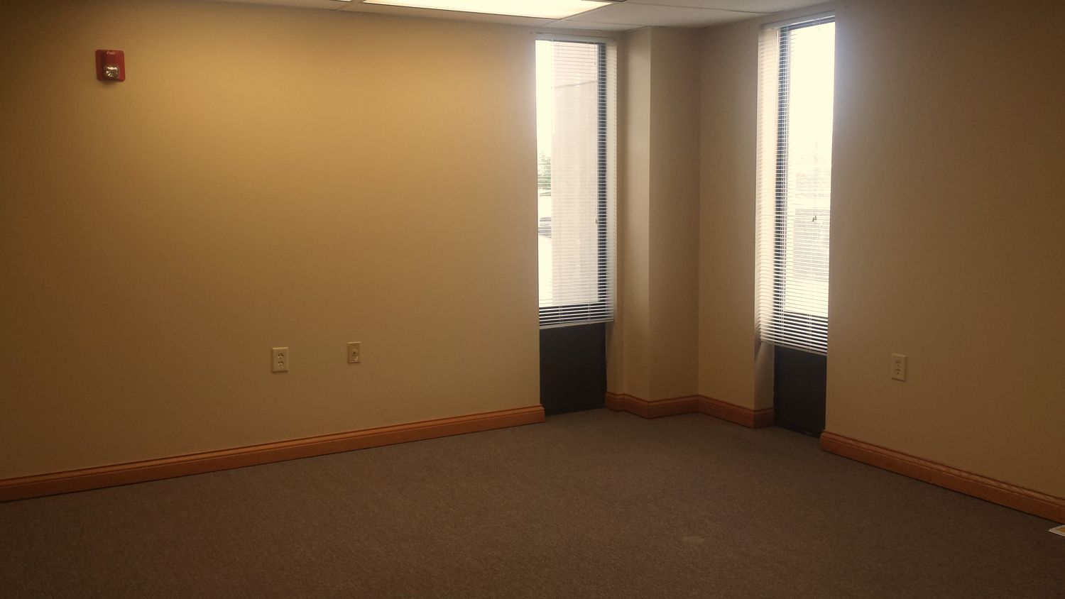 Suite 101